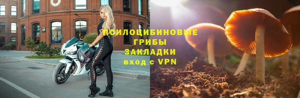 ALPHA PVP Аркадак