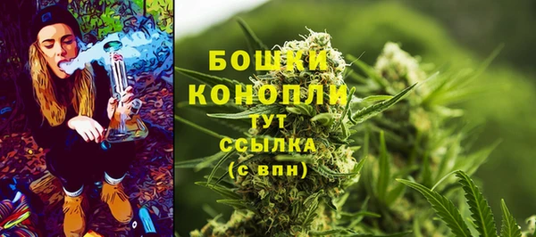 apvp Арсеньев