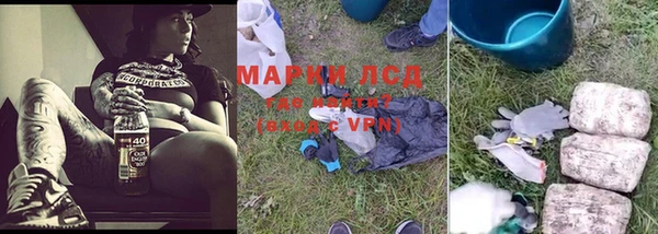 apvp Арсеньев
