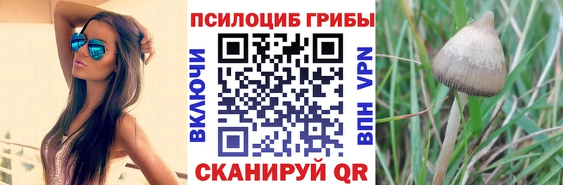 где продают Аткарск Галлюциногенные грибы Cubensis